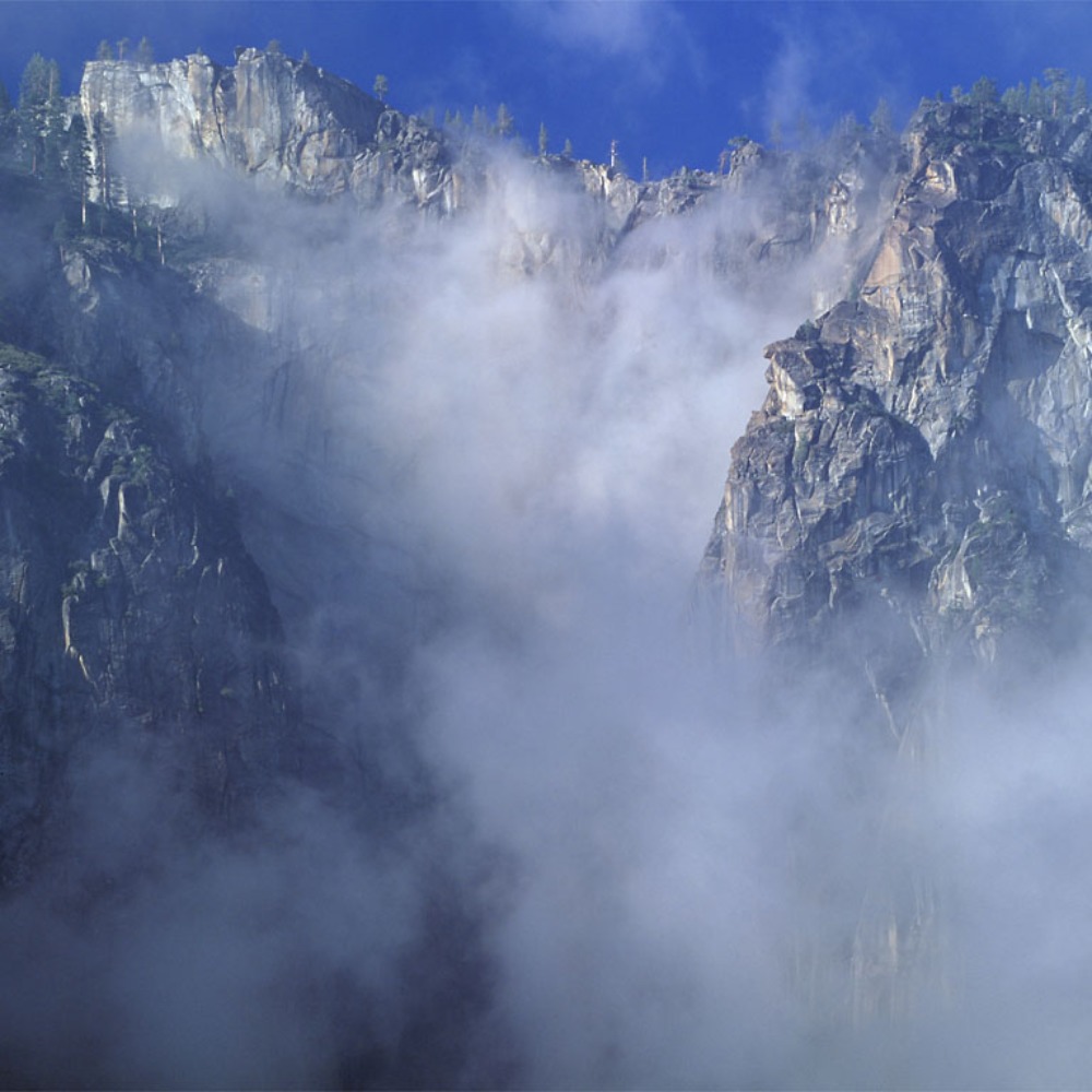 Meet your Posher, Jo Dee